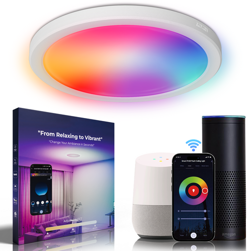 Deertalk RGBCW LED Flush Mount Ceiling Light