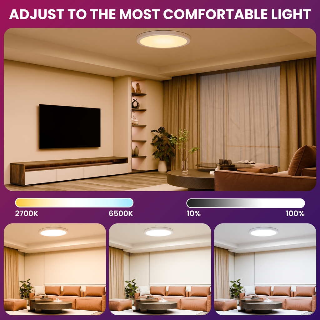 Deertalk RGBCW LED Flush Mount Ceiling Light