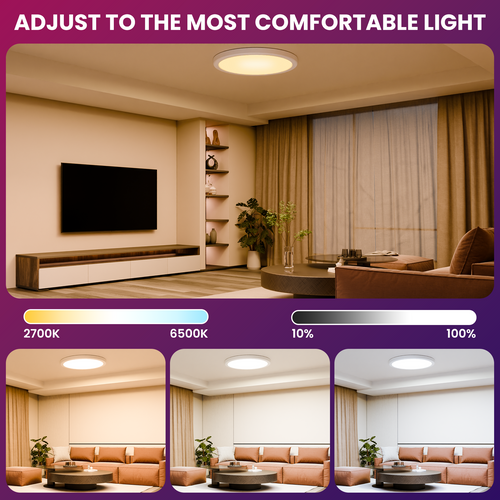 Deertalk RGBCW LED Flush Mount Ceiling Light