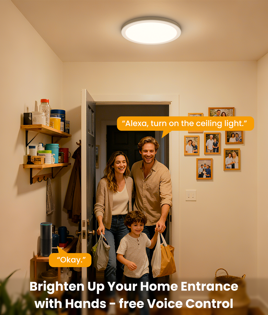 Deertalk RGBCW LED Flush Mount Ceiling Light
